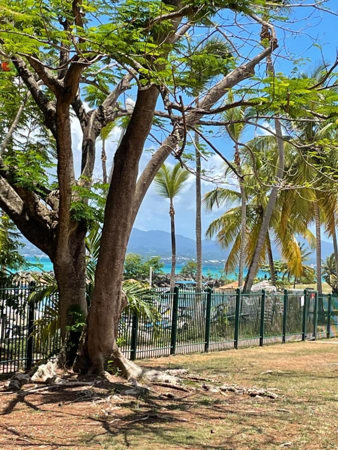 Cauris Lodge Du Marisol Vue Mer Acces Direct Plage Avec Citerne D Eau Le Gosier  Exterior foto